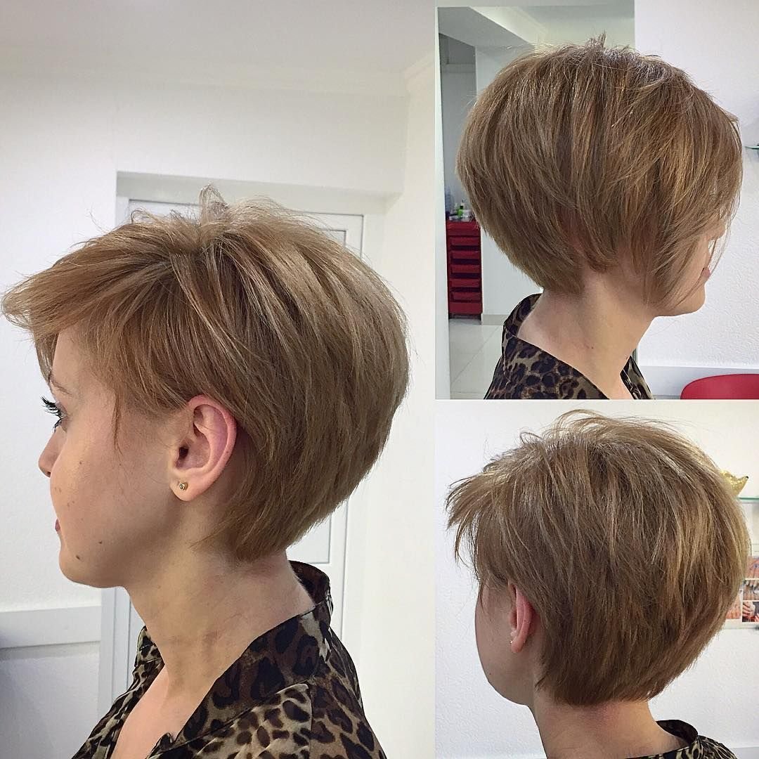 Стрижка Пикси Боб вид спереди и сзади