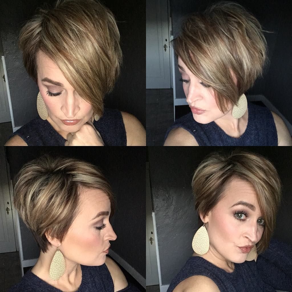 Пикси Боб макси