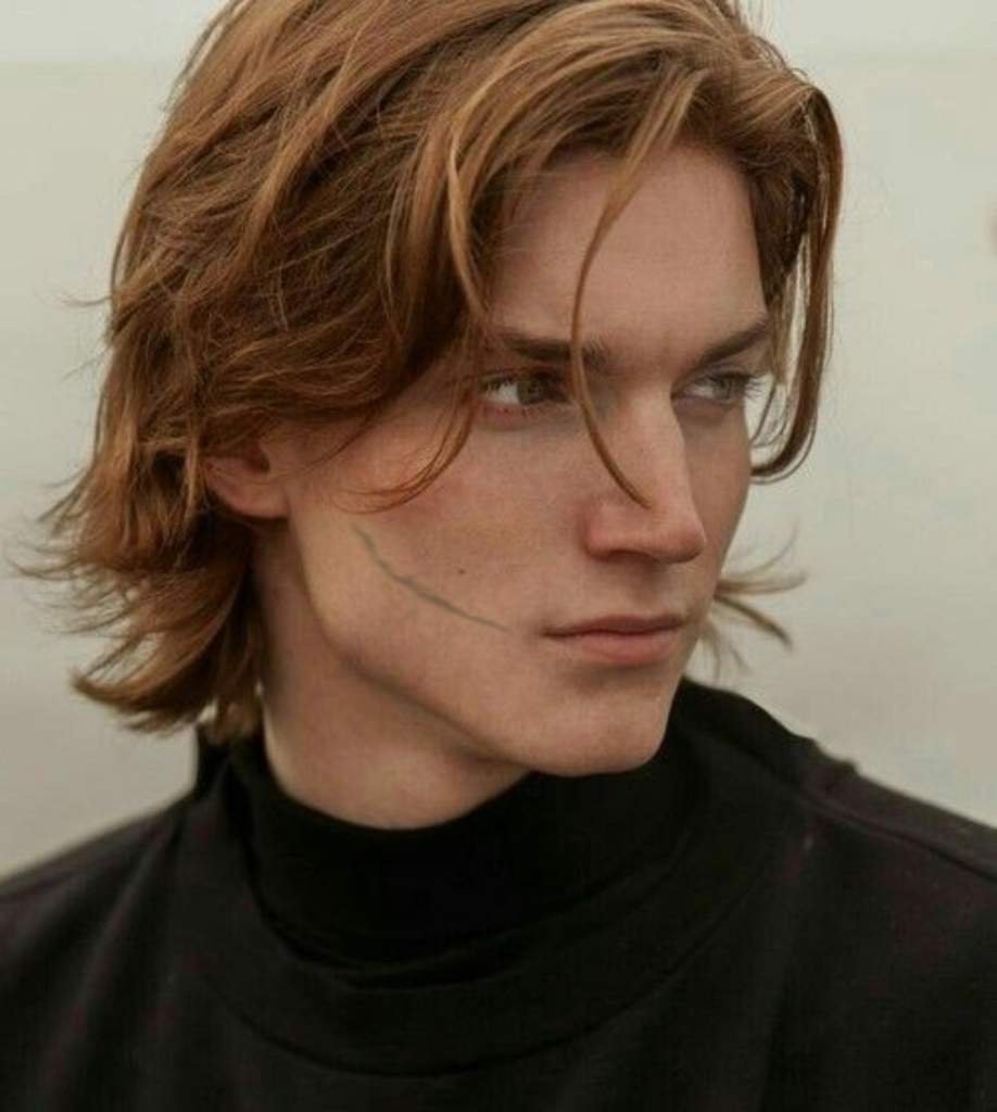 Jan Francken модель