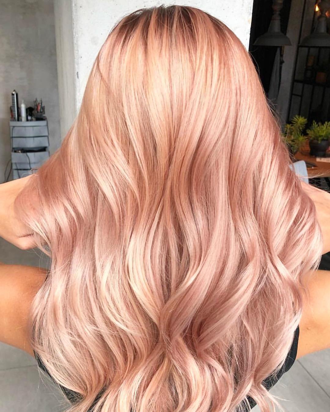 Schwarzkopf Apricot
