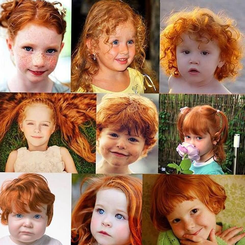 Рыжая семья