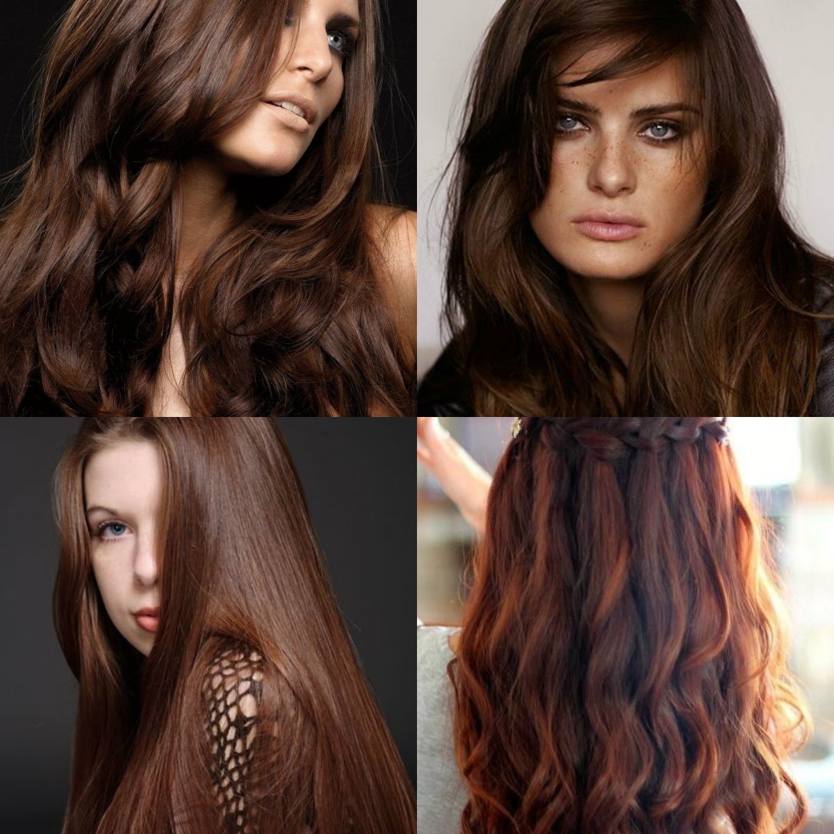 Каштаново рыжий краска