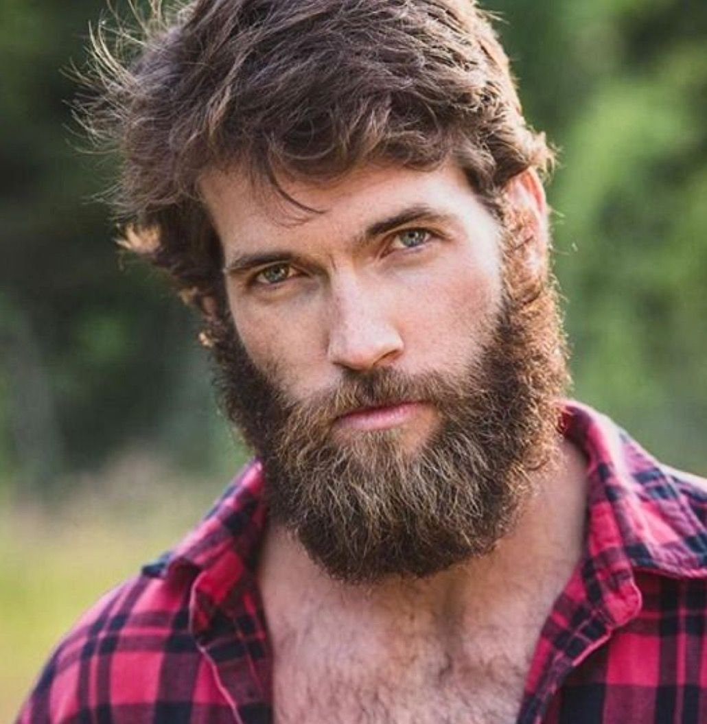 Бородатый канадец