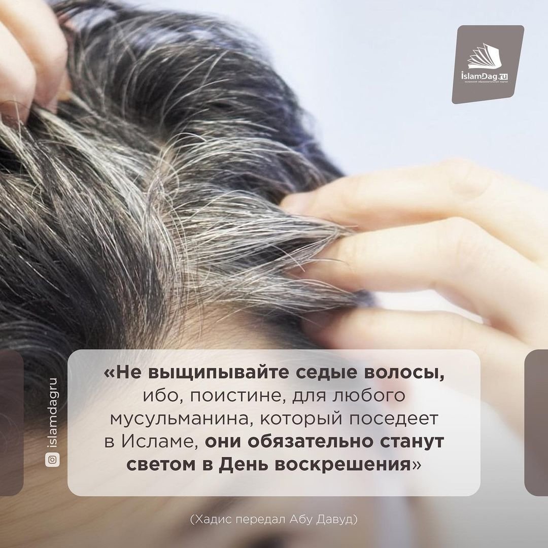 Седина волос в Исламе
