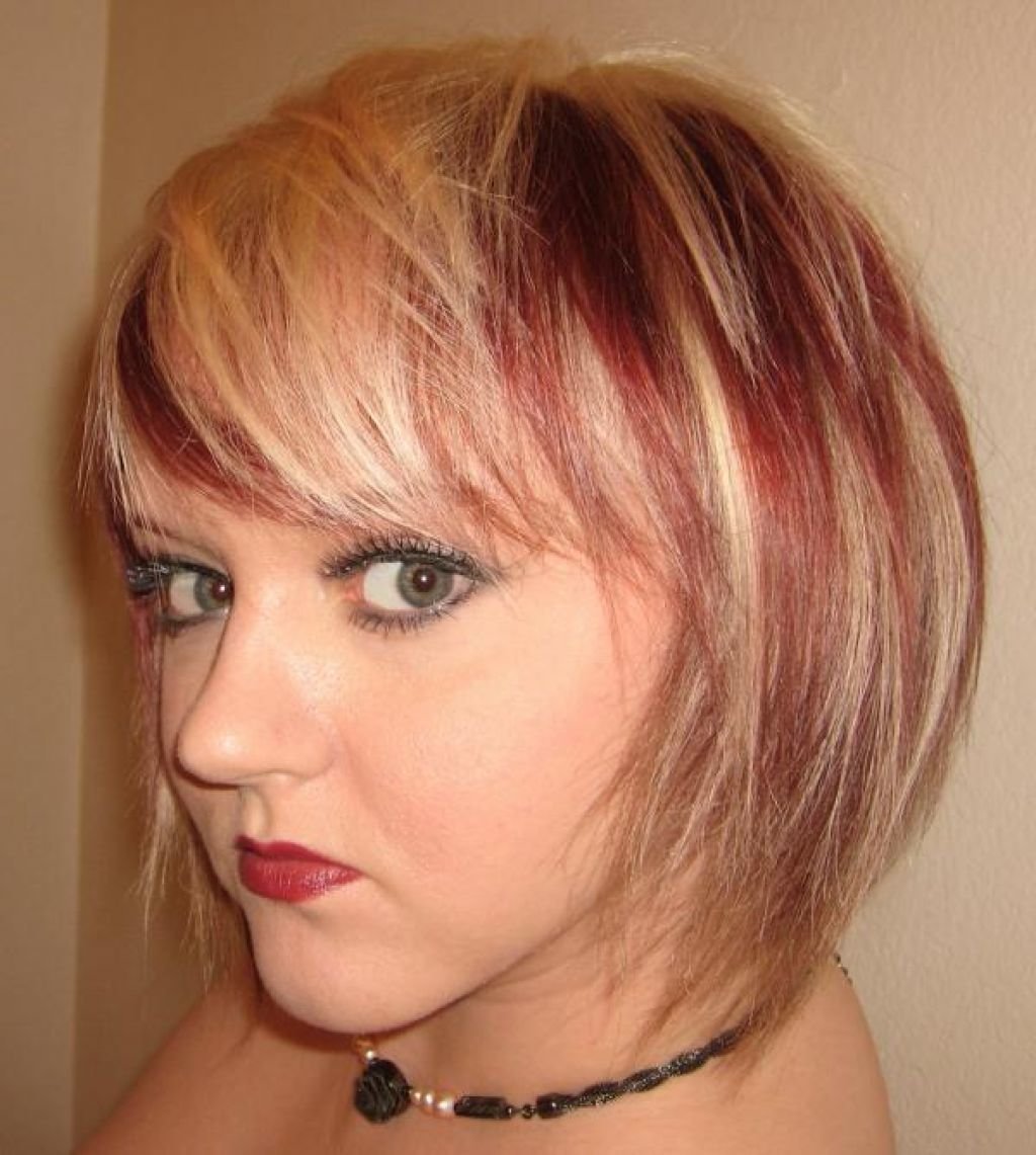 Pixie Bob стрижка красный