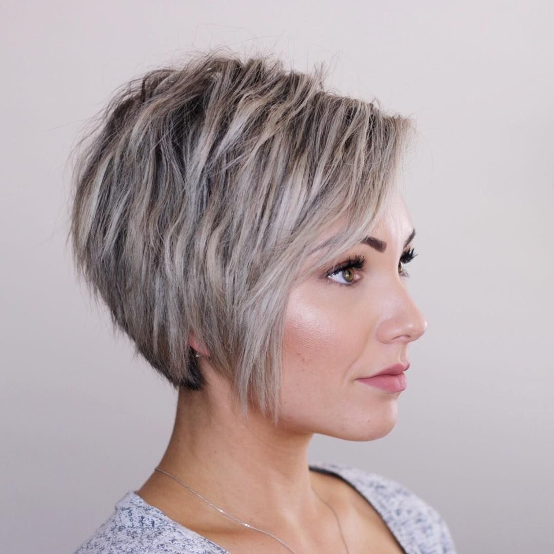 Пикси Боб пепельный