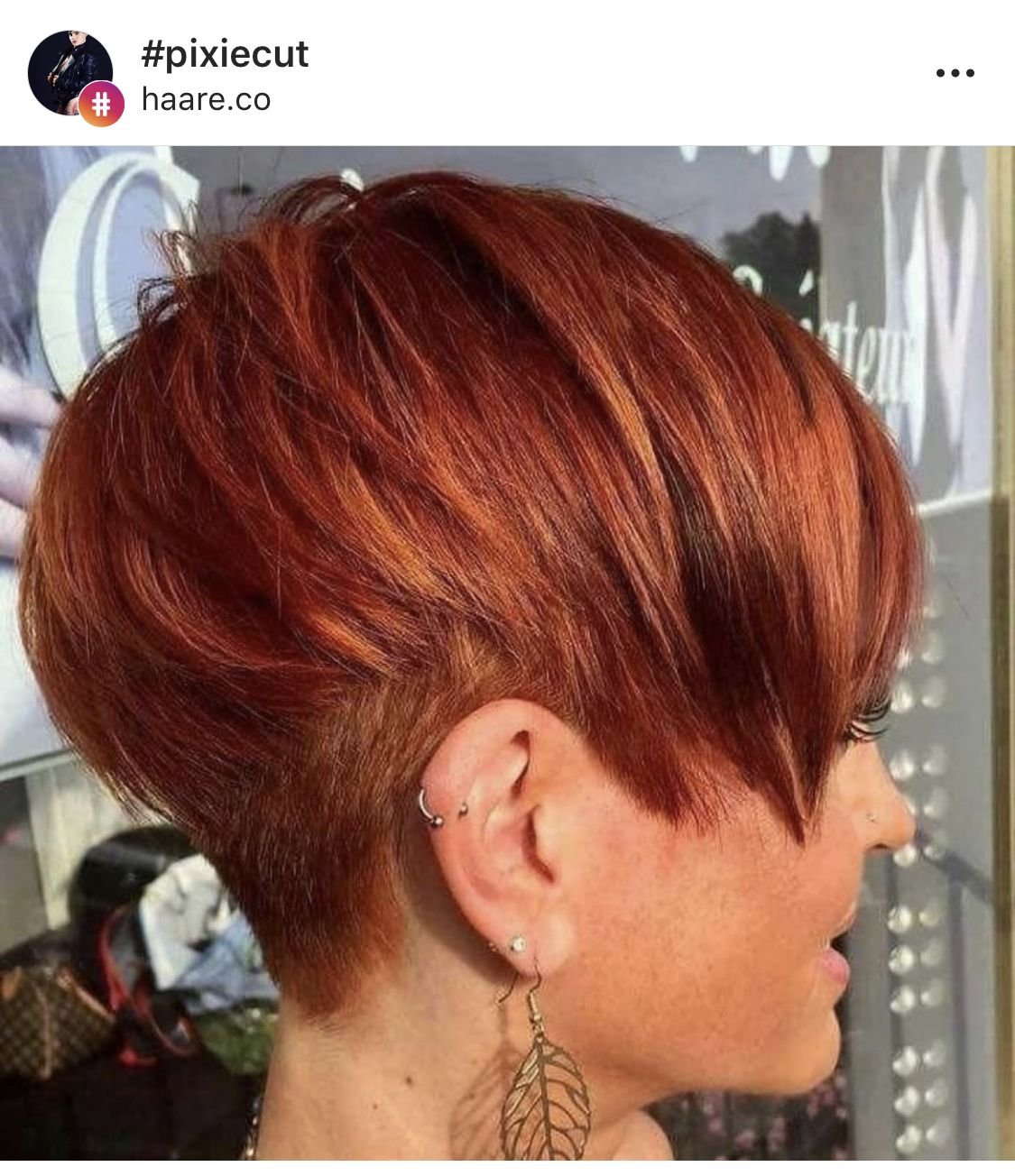 Стрижка Пикси-Боб рыжий