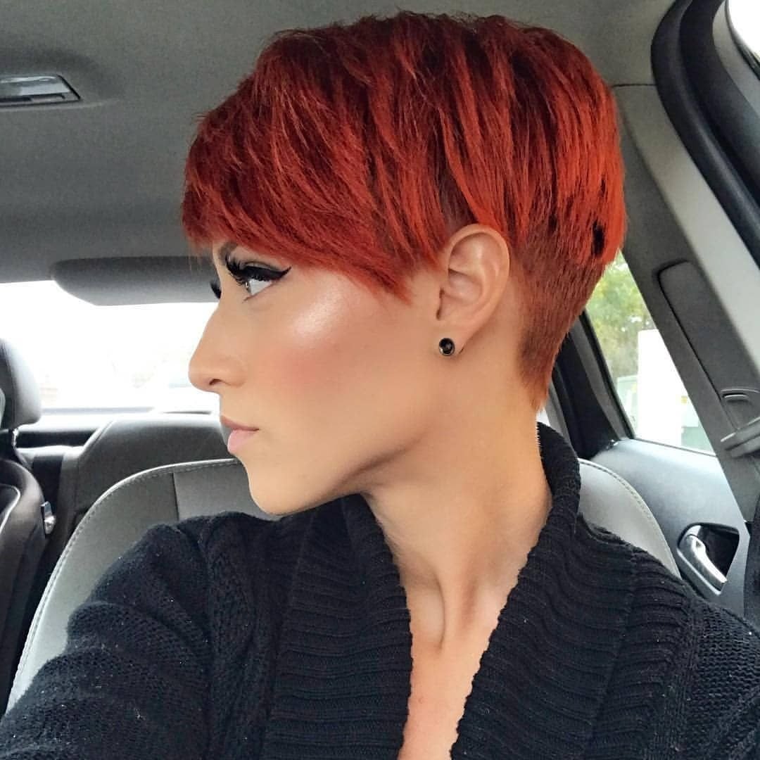 Пикси андеркат рыжая