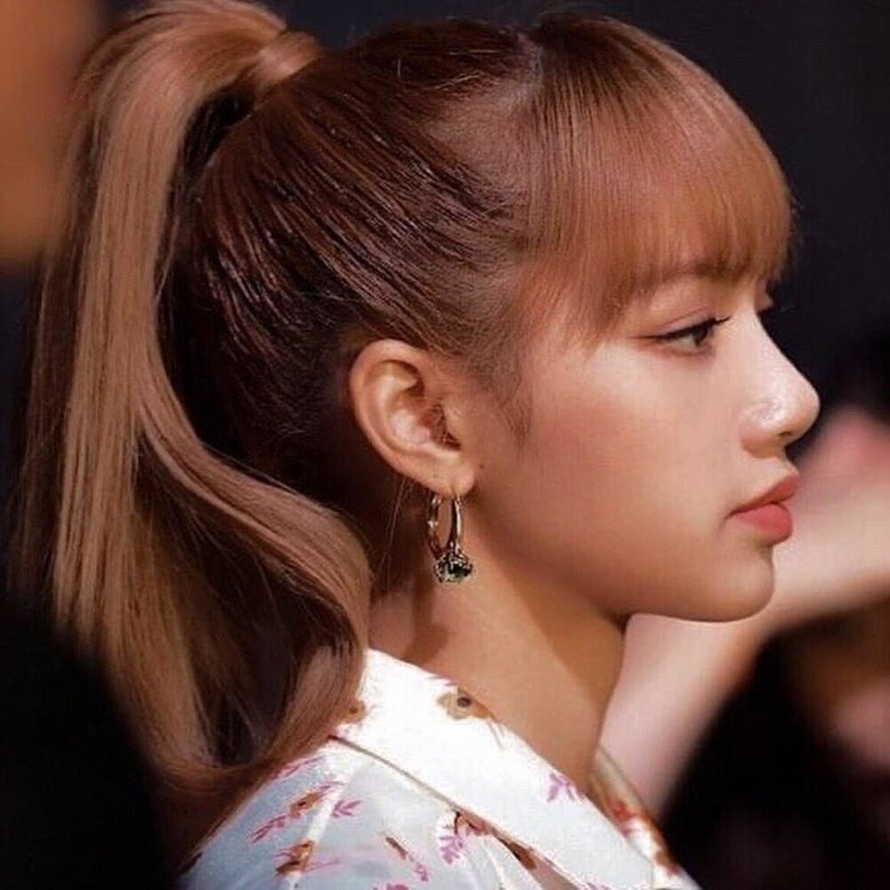 Лиса Блэк Пинк профиль