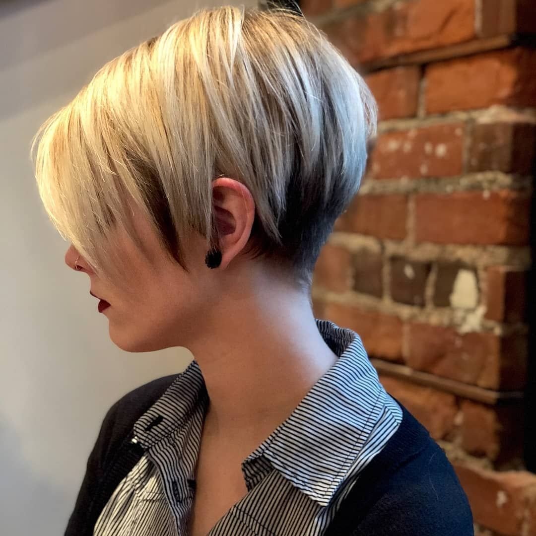 Пикси андеркат Боб