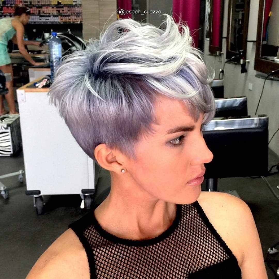 Пикси Боб балаяж пепельный