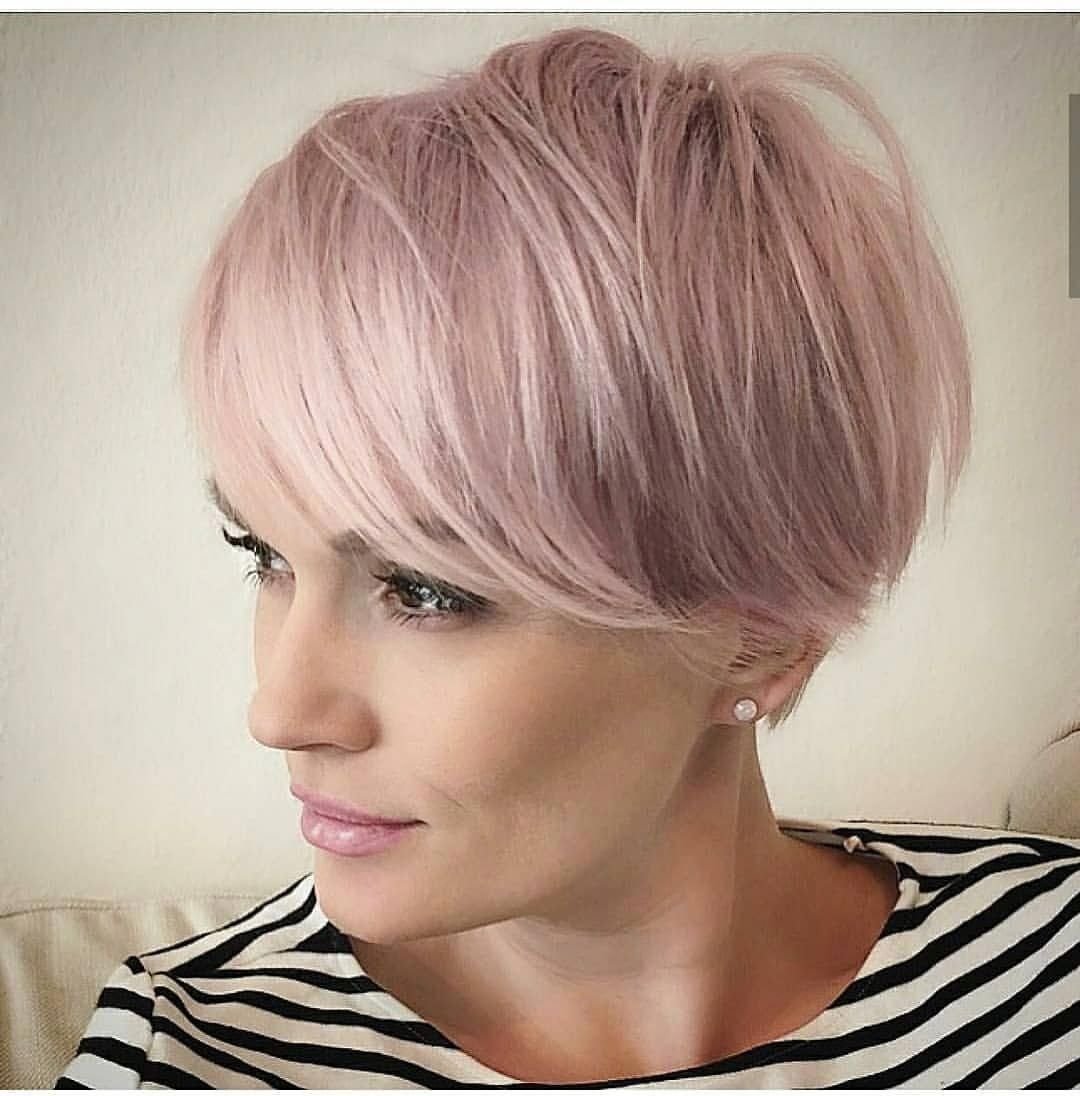 Пикси Боб розовый блонд