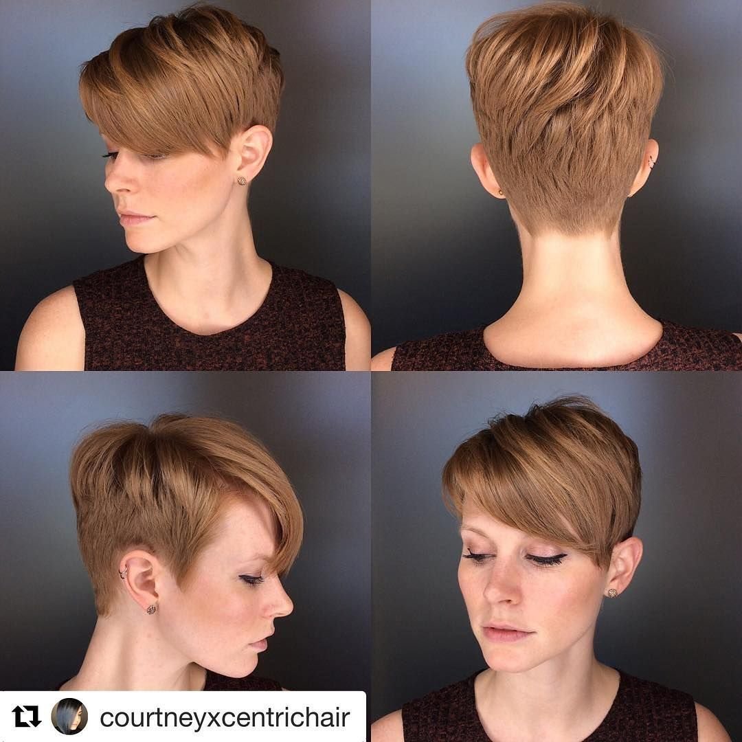 Стрижки Пикси, Гарсон, Пикси Боб