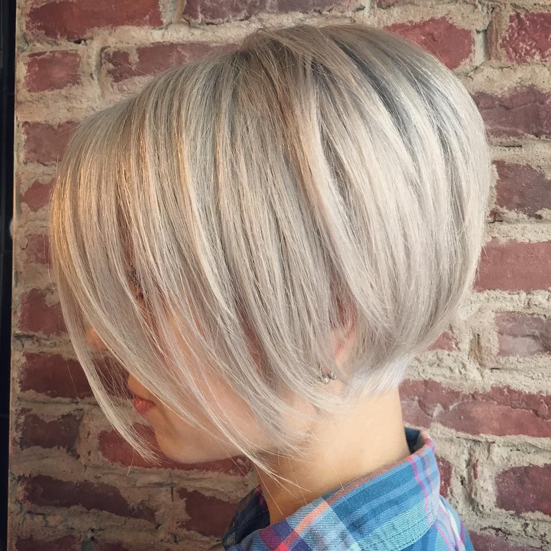 Пикси Боб блонд 2022