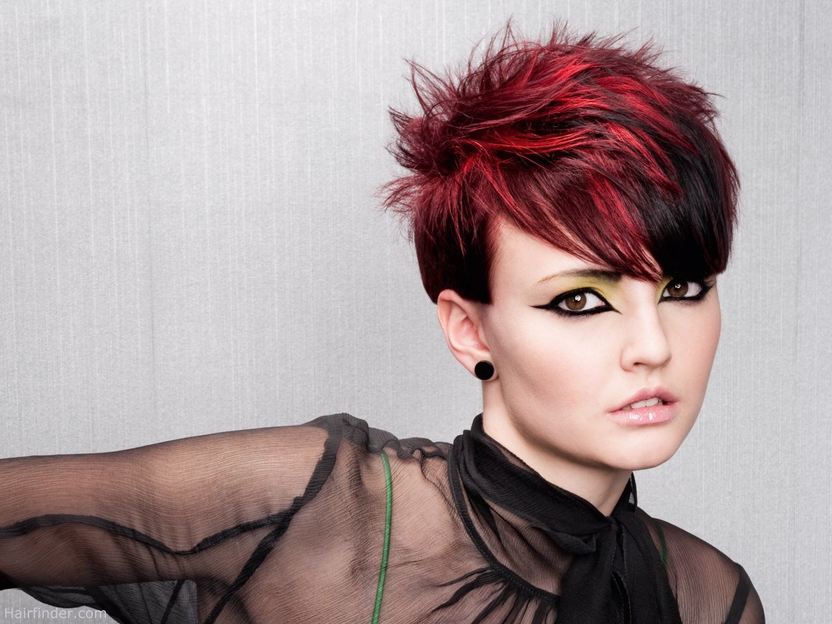 Мелирование на Пикси Боб