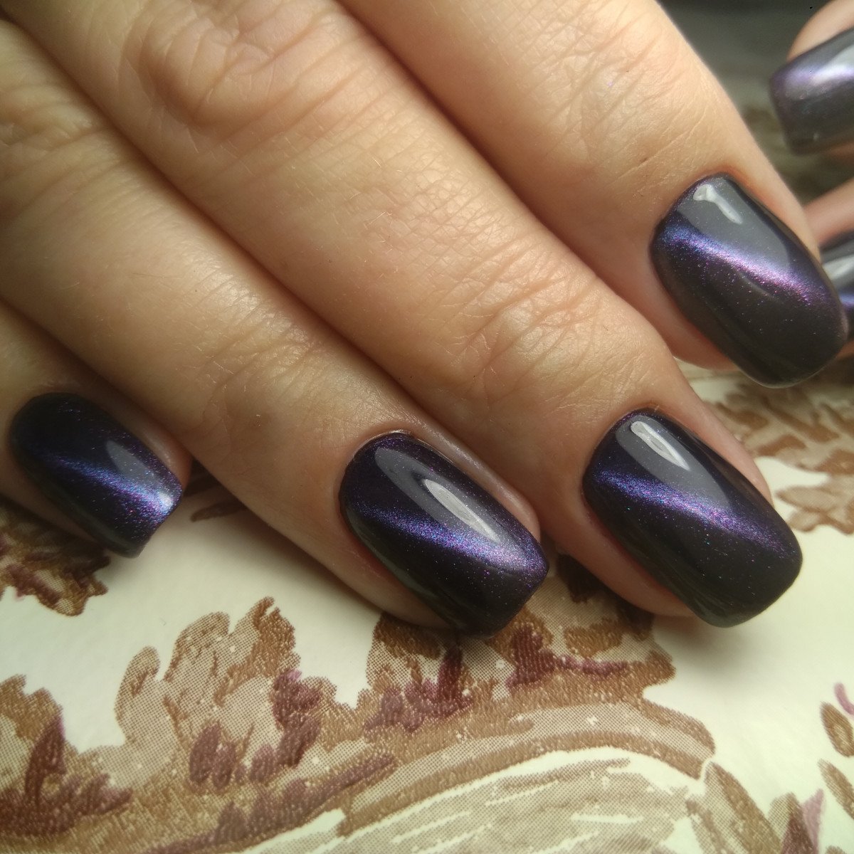 Маникюр кошачий глаз коричневый на короткие ногти