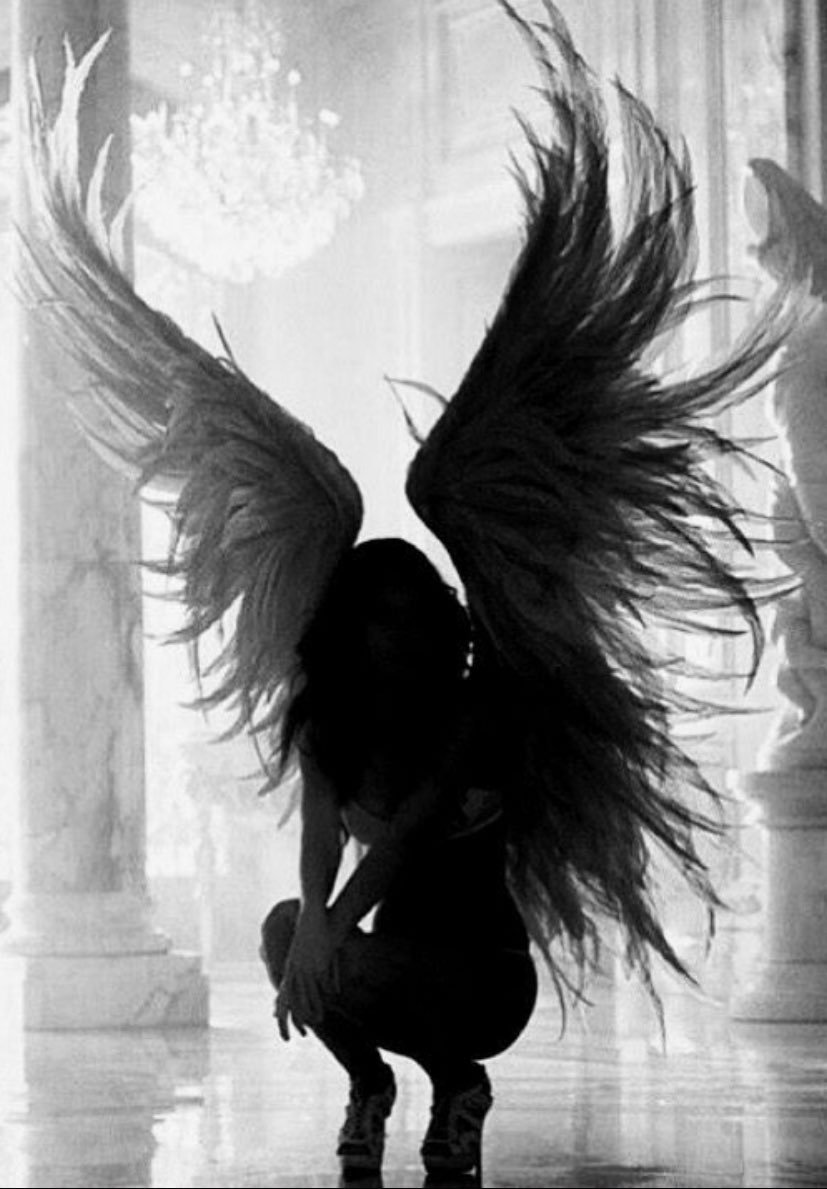 Виона Илегемс фотоработы