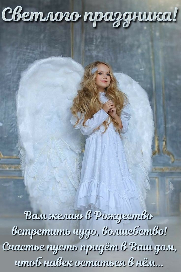 Фотосессия беременных с крыльями