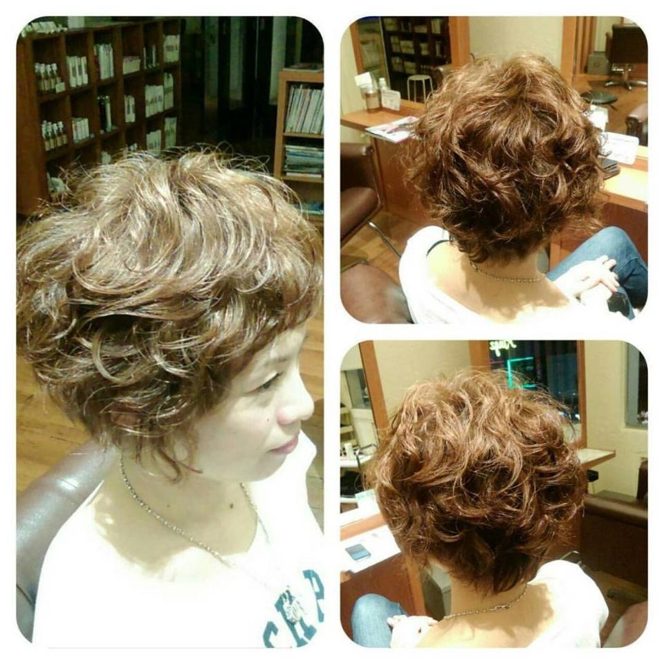 Химия на мелированные волосы