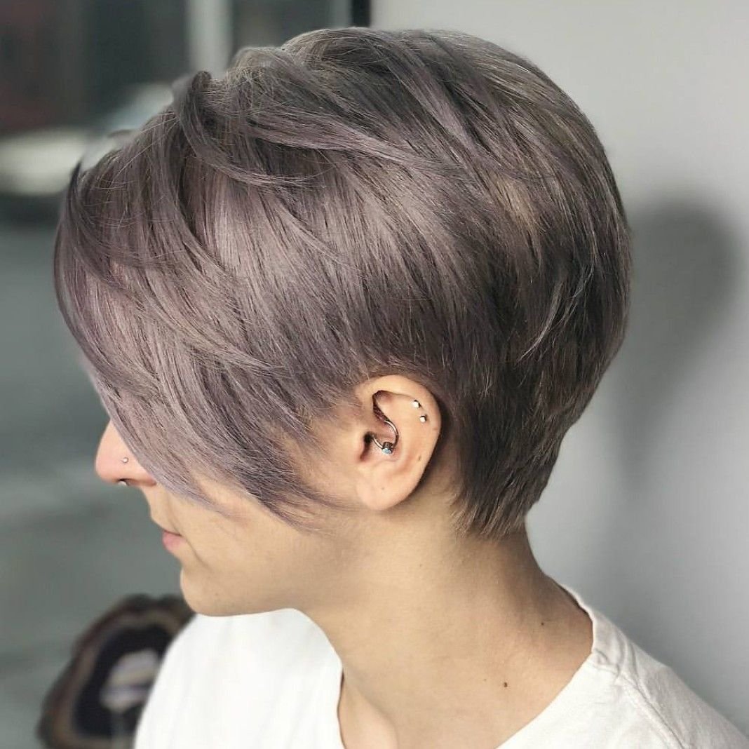 Пикси Боб сзади