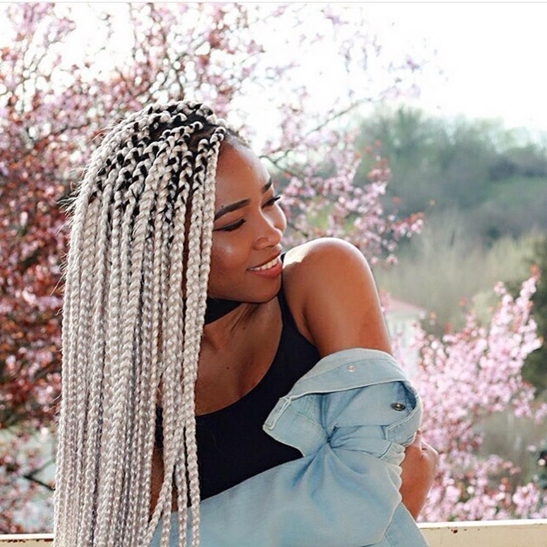 Косы с канекалоном 2022