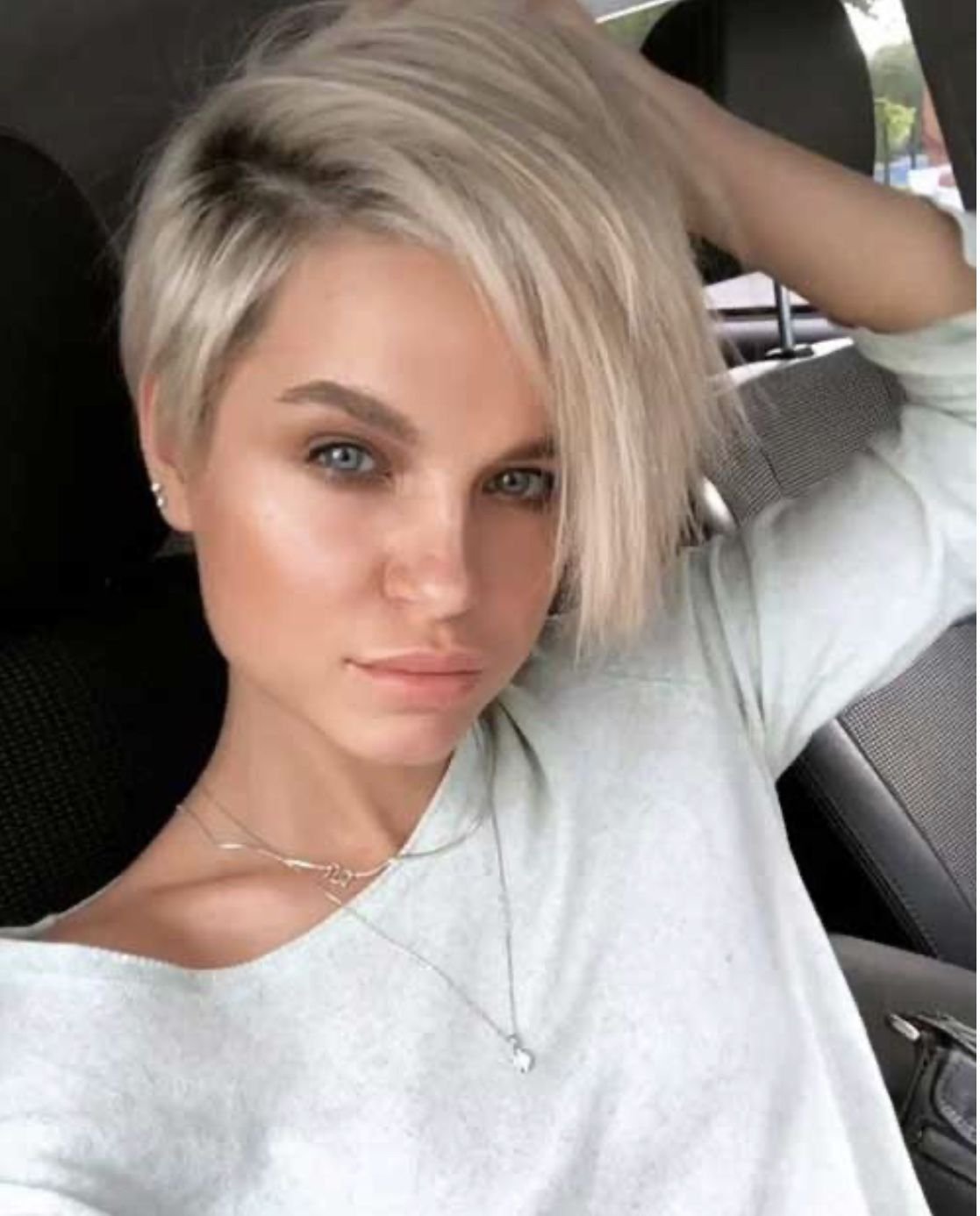 Пикси Боб блонд 2020