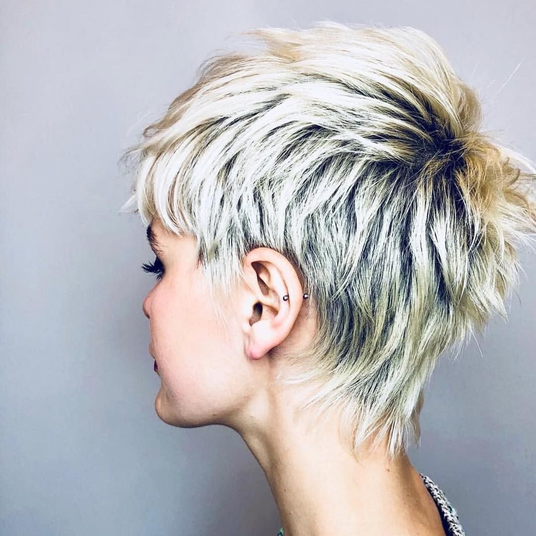 Стрижки Пикси, Гарсон, Пикси Боб