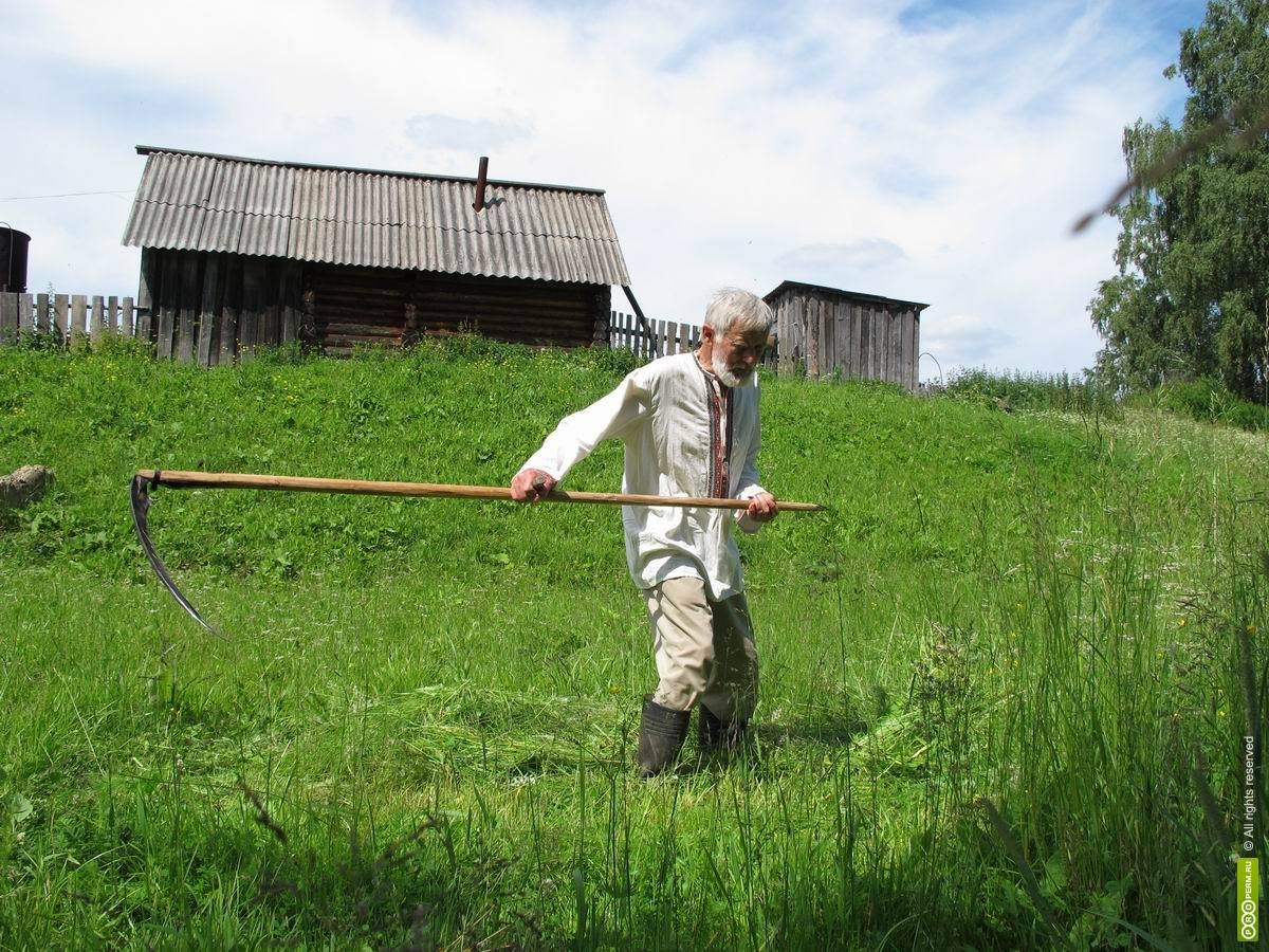 Красивые блондинки с косами