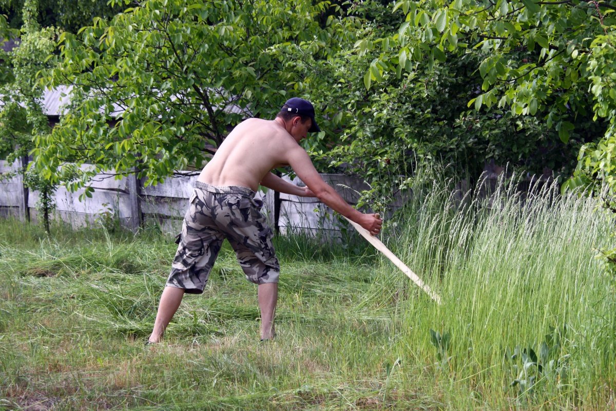 Коса до попы