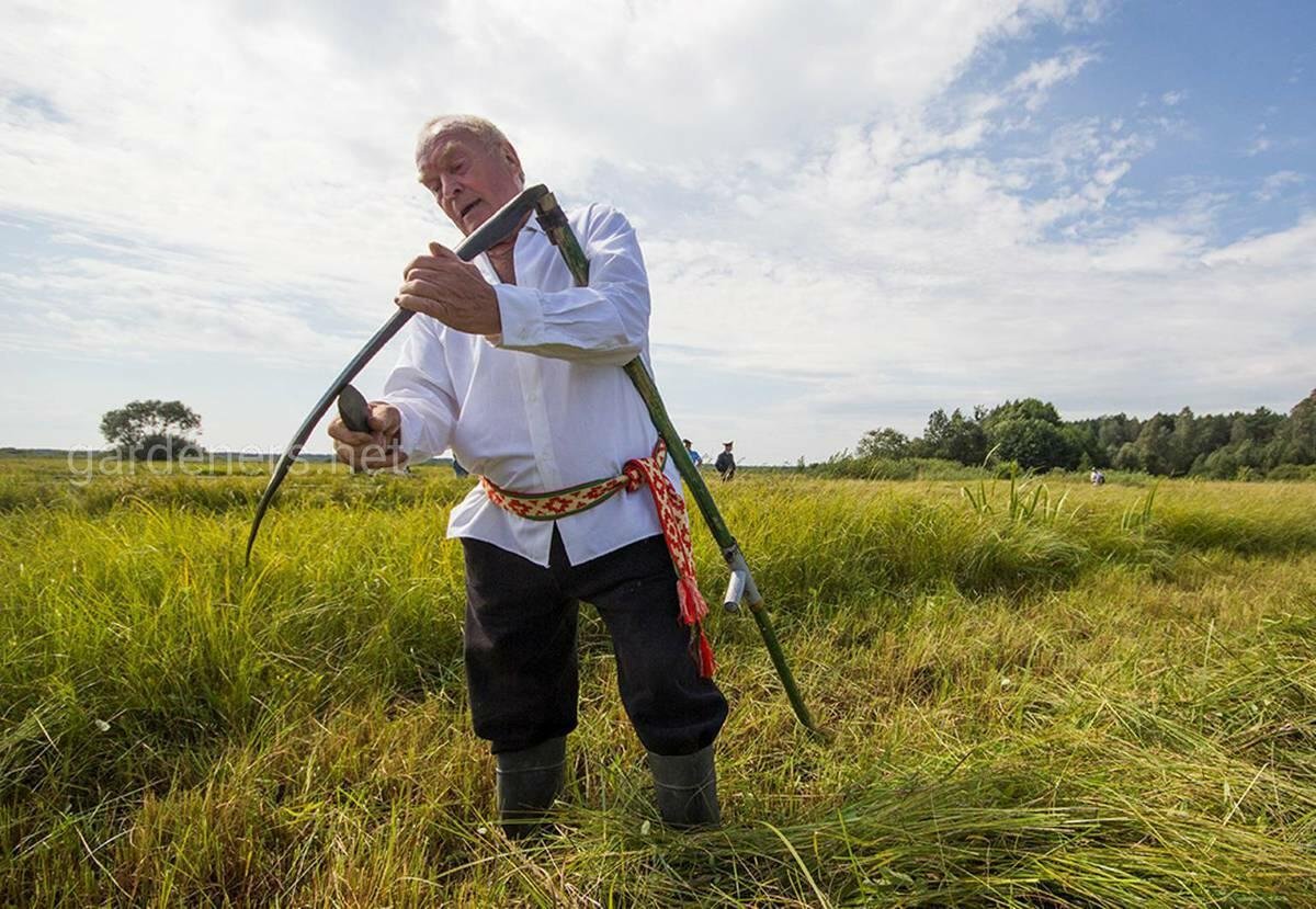 Заточка серпа с зубцами