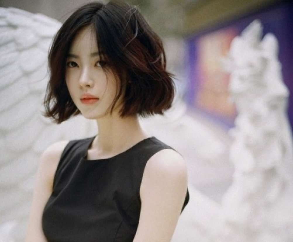 Pixie Bob стрижка Корея