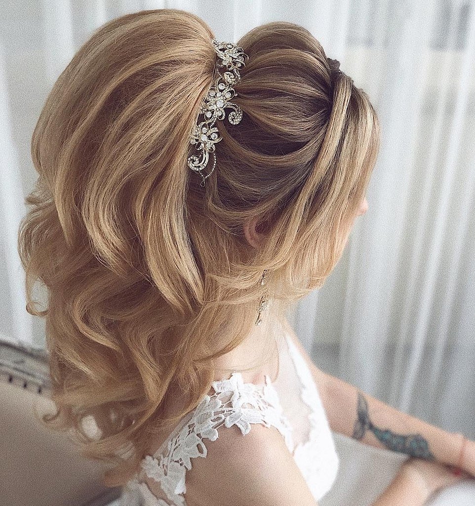 Восточный хвост Анна Комарова