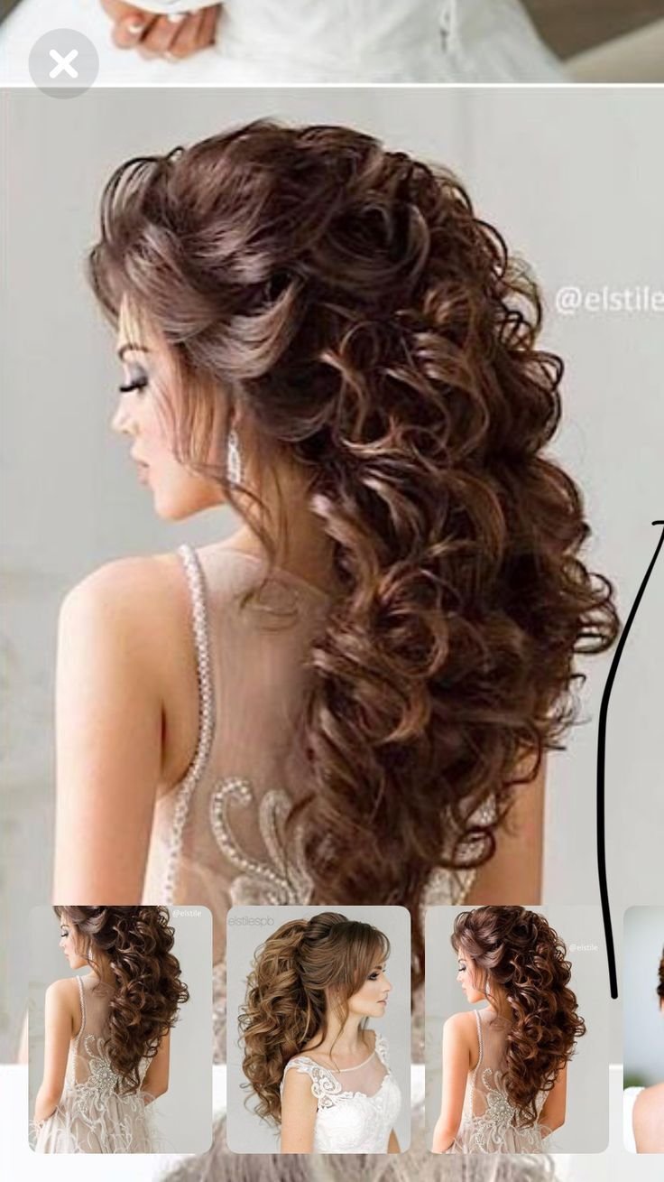 Восточный хвост Анна Комарова