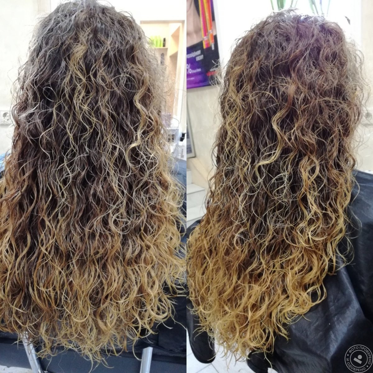 Биозавивка Мосса Италия