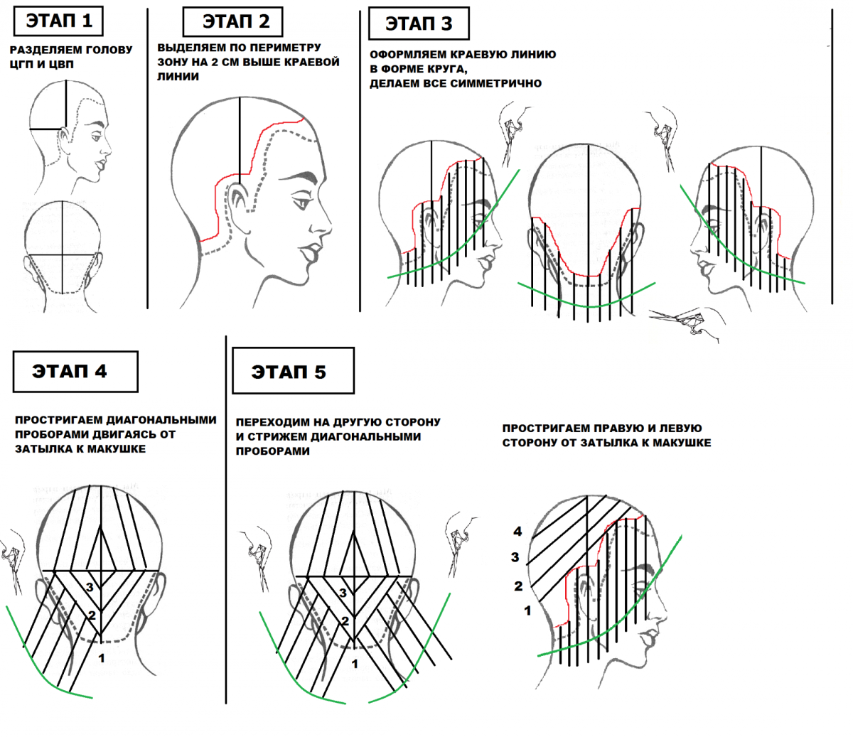 Стрижка сессун технология выполнения схема
