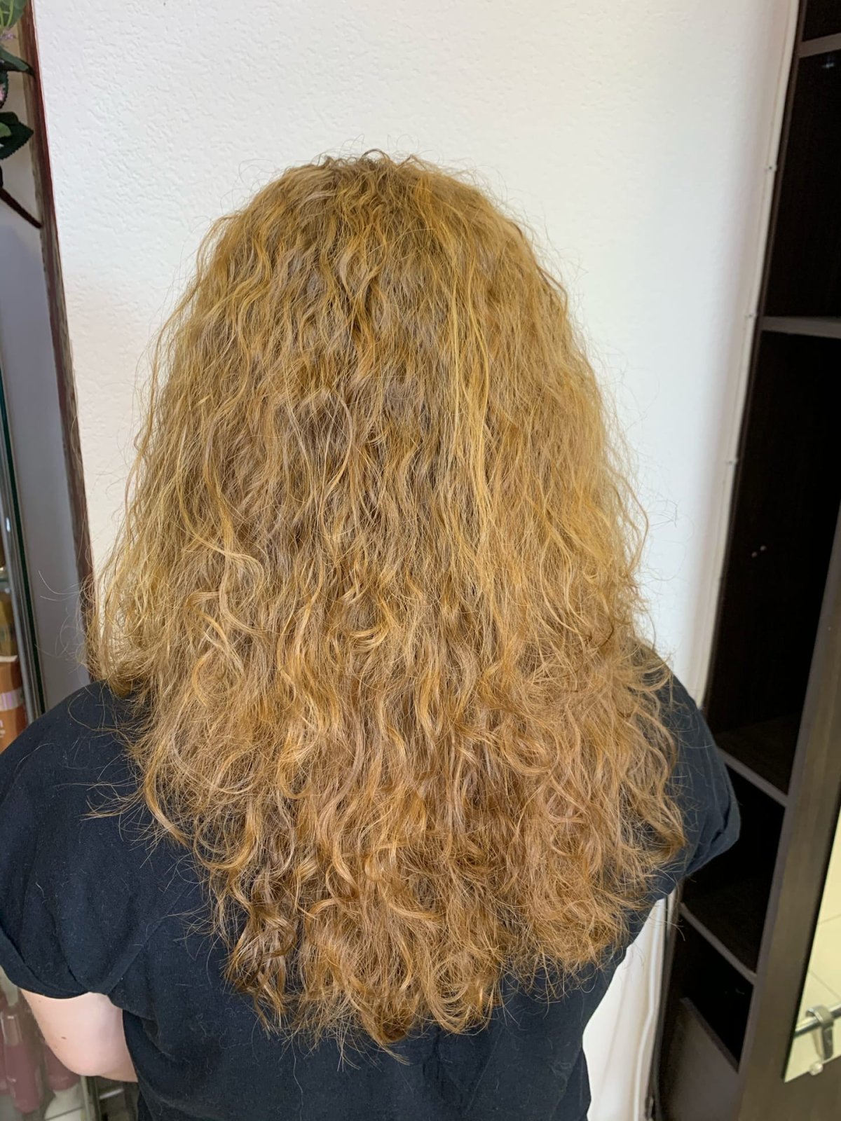 Биозавивка шварцкопф