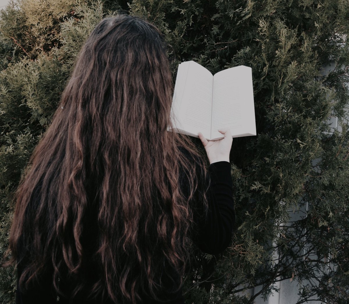 Муслим Гайсин