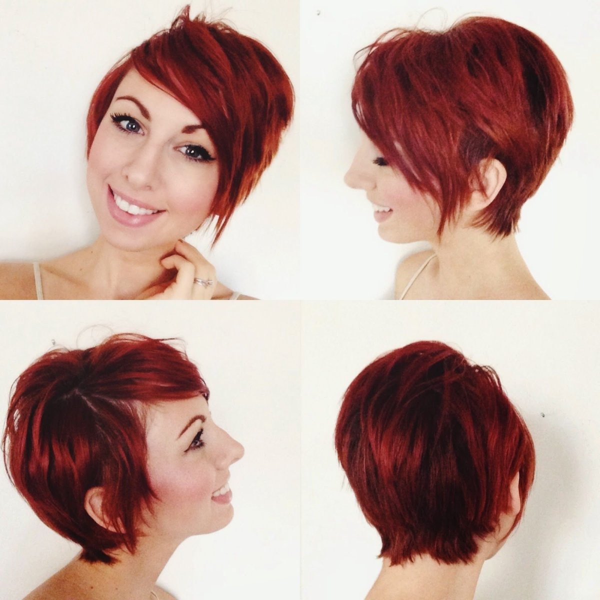 Pixie Bob стрижка красный