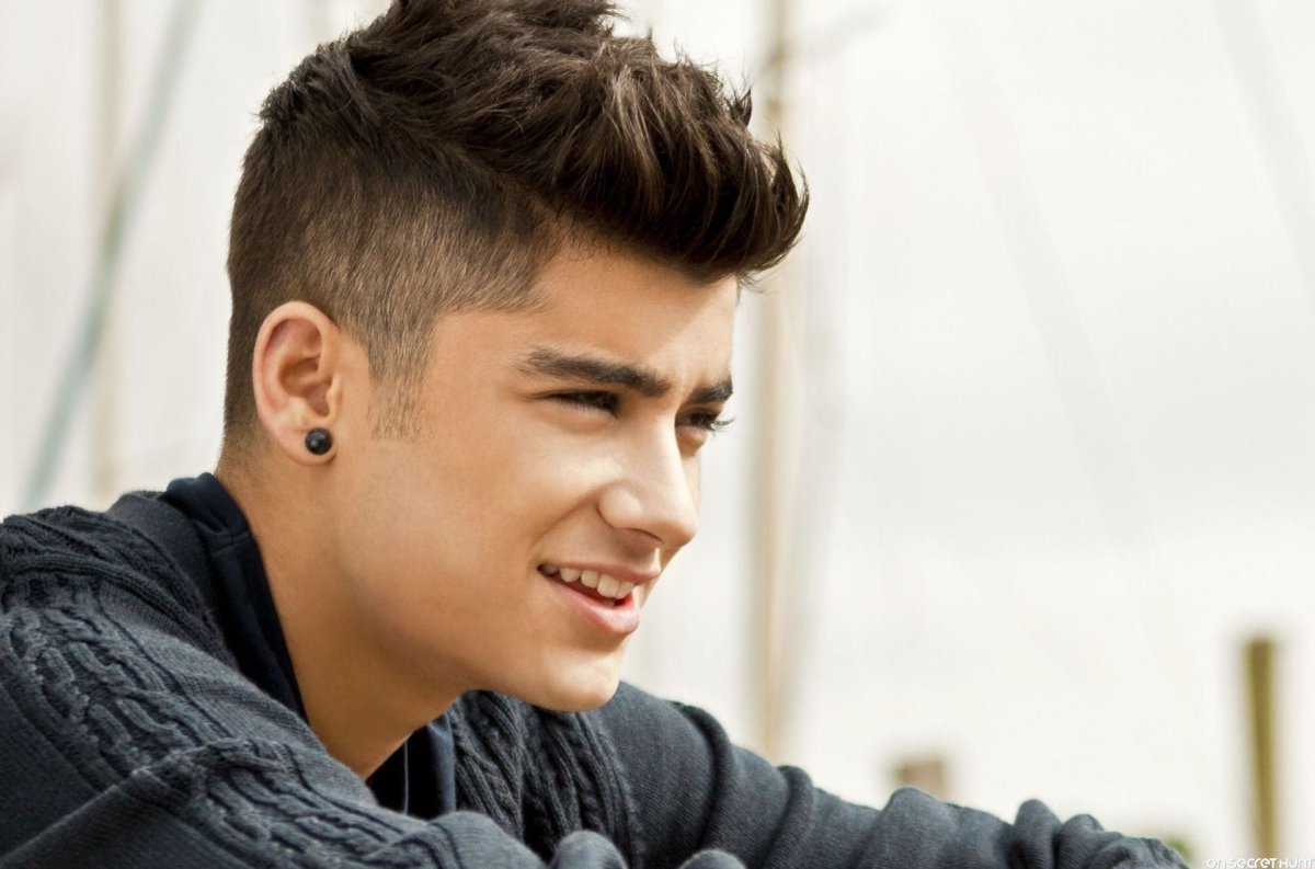 Zayn Malik 2022