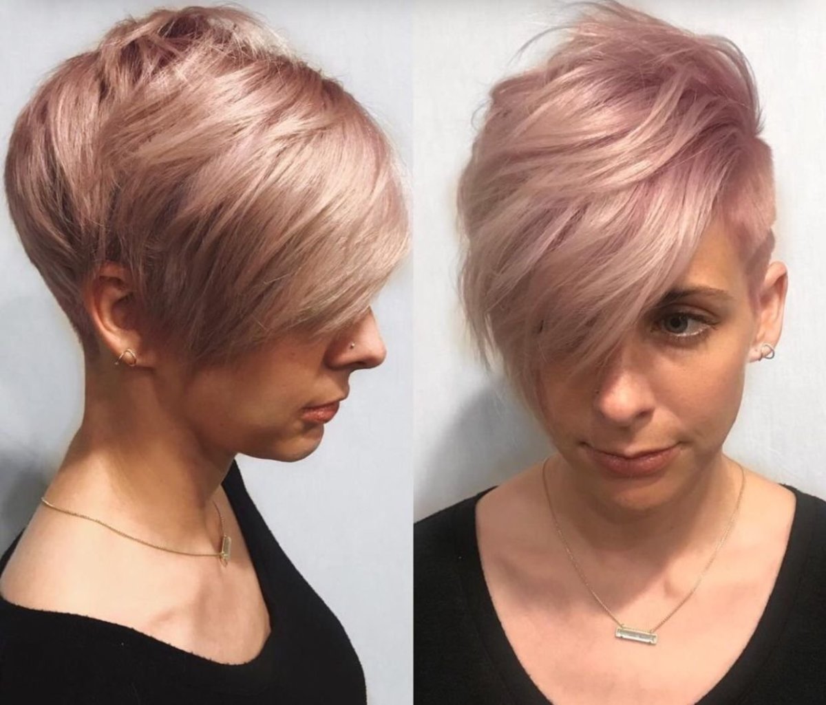 Пикси Боб жемчужный блонд