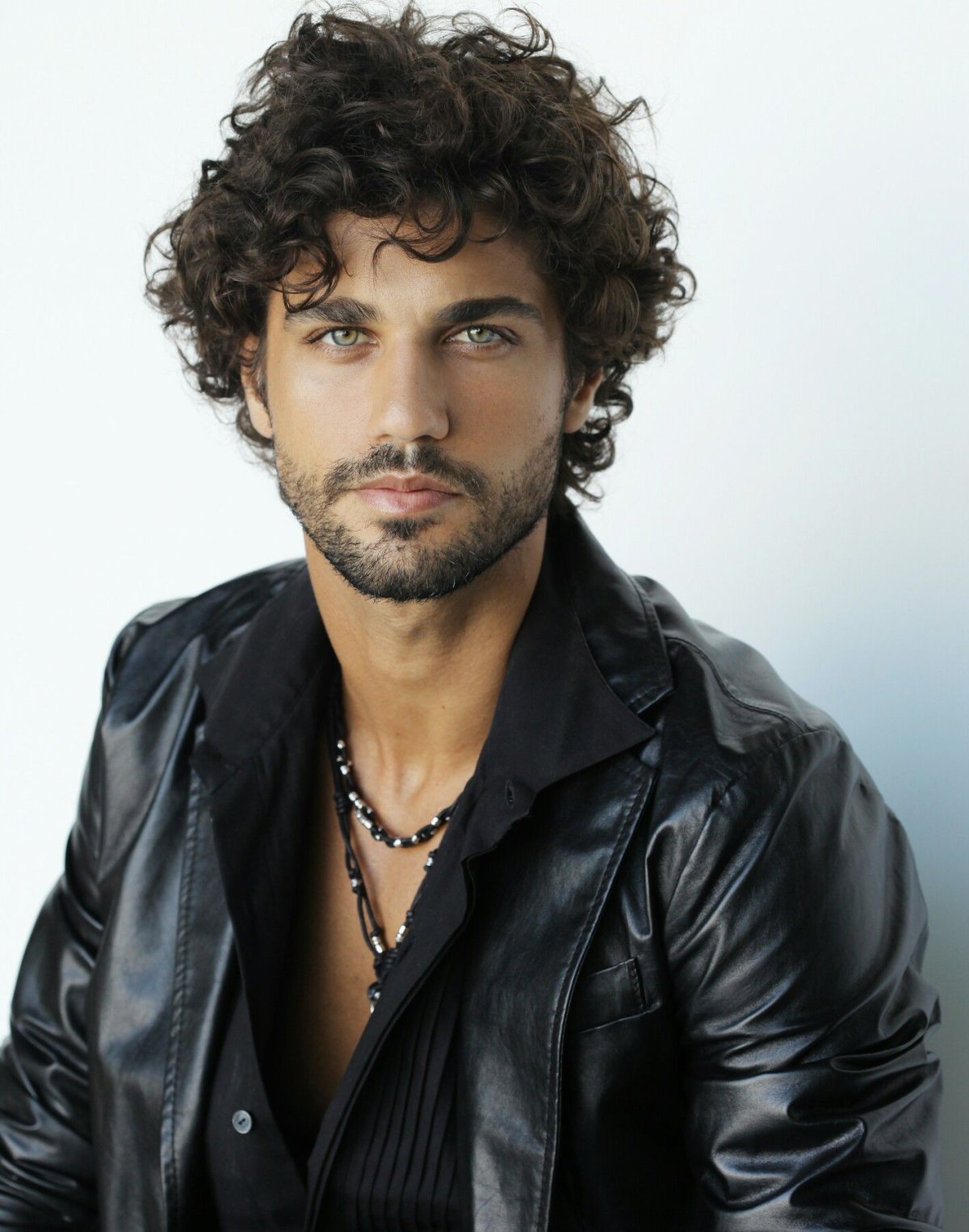 Бруно кудрявый