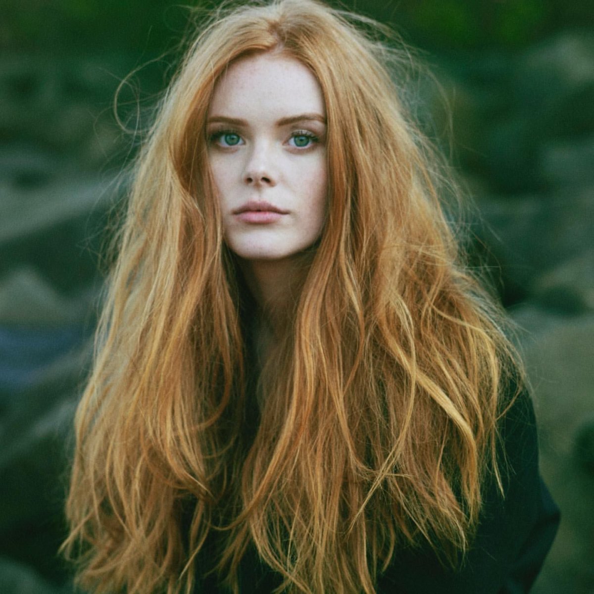 Эбигейл Блум