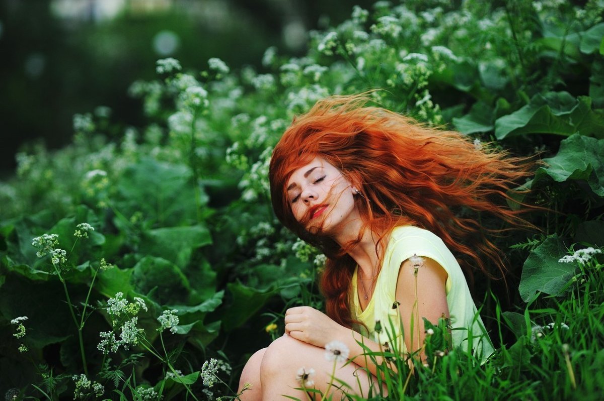 Рыжие волосы