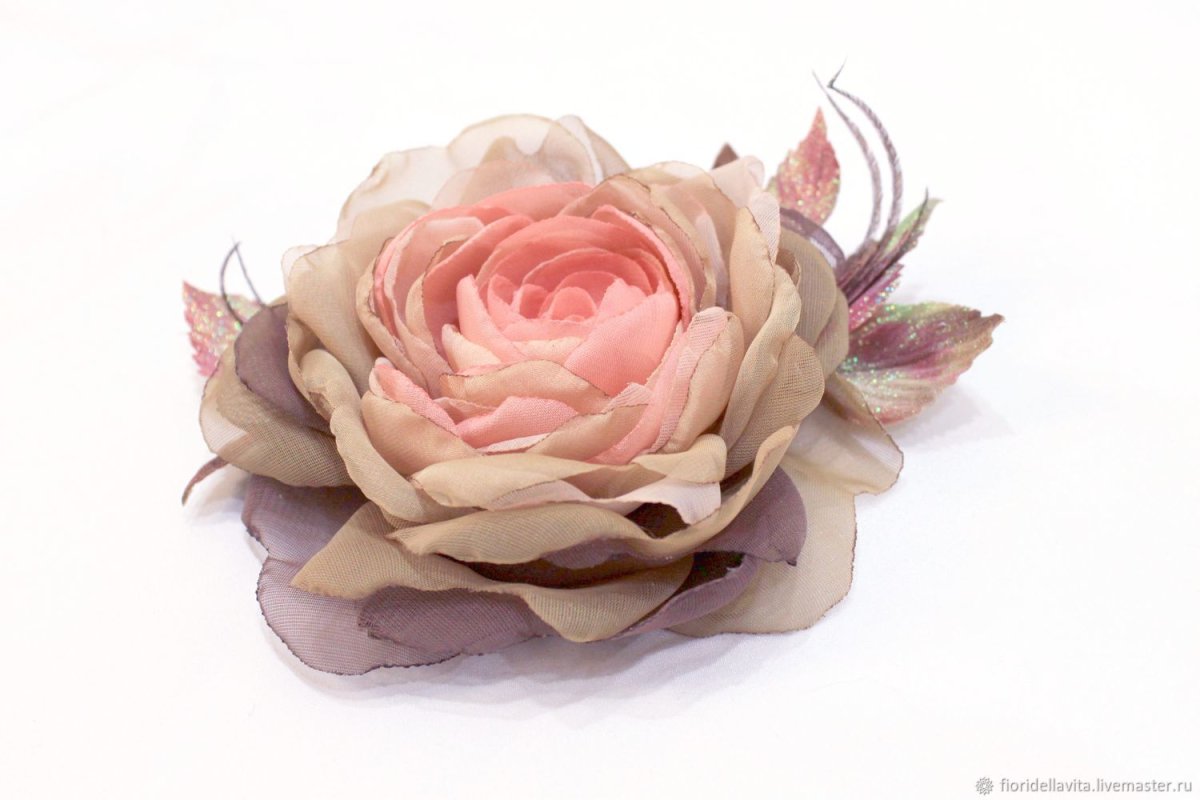 Роза шифон (Chiffon)