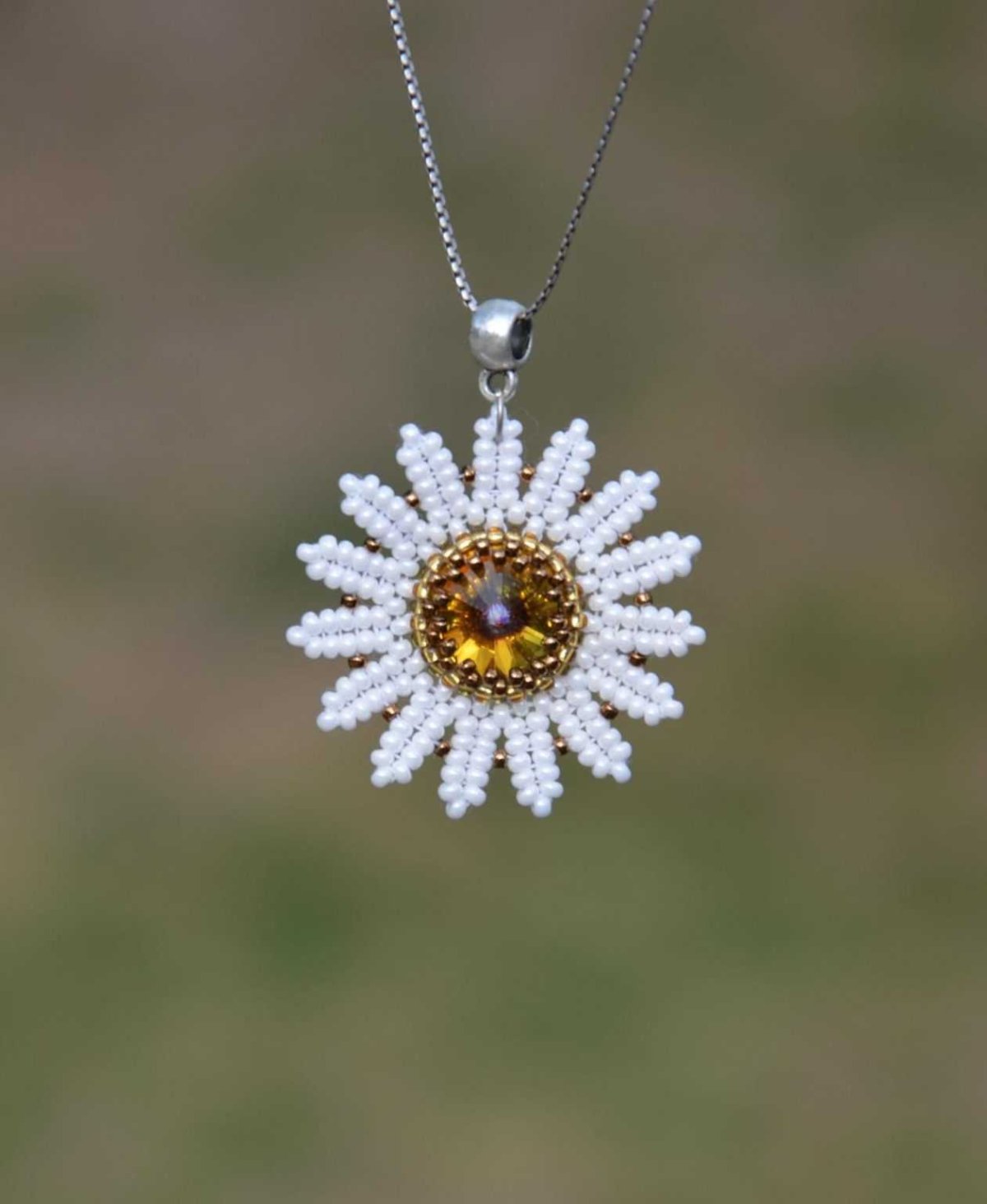 Ромашка ндебеле