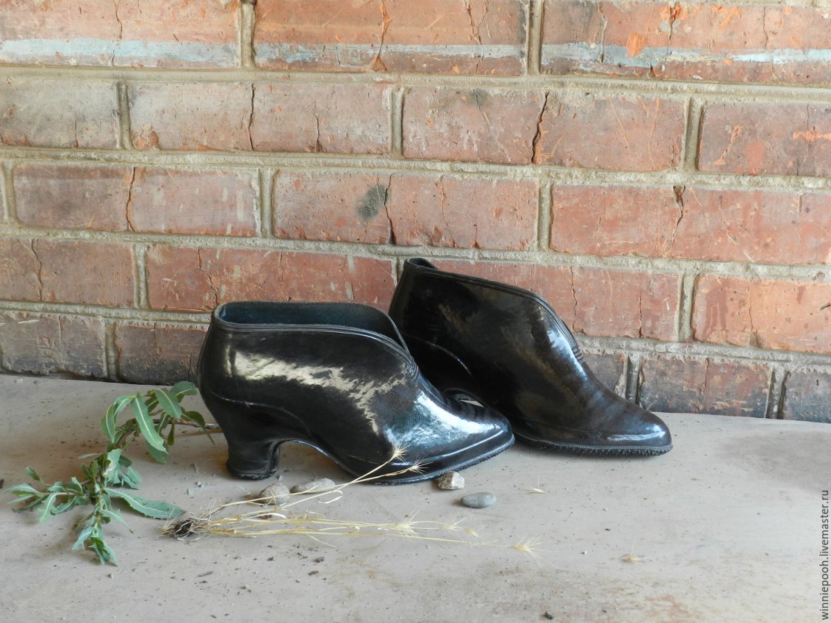 Галоши с104в