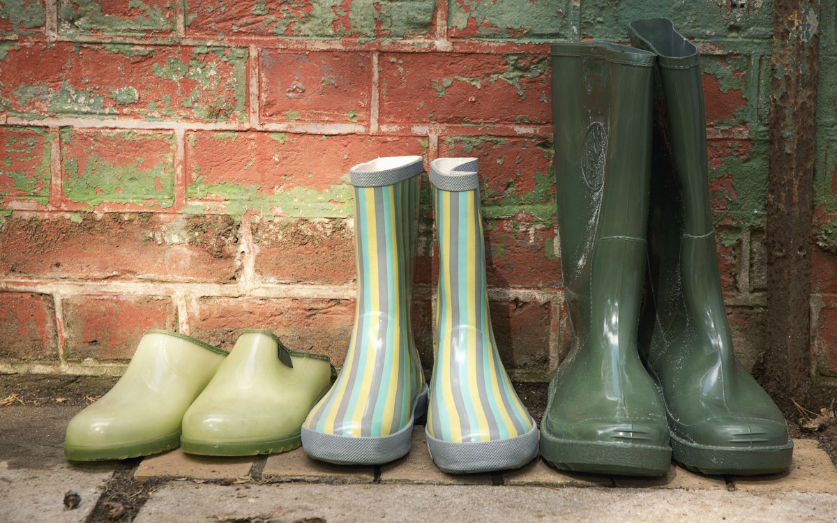 Остроносые калоши