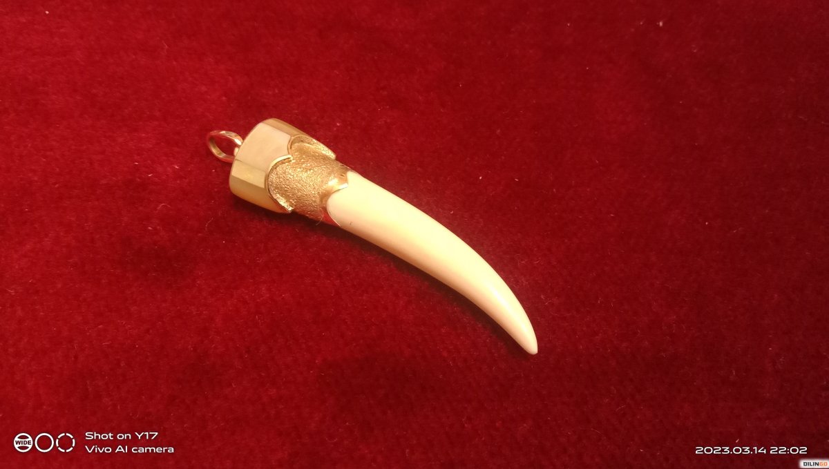 Подвески из кости