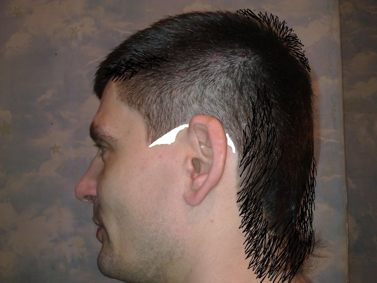 Мужские стрижки с удлиненным задом