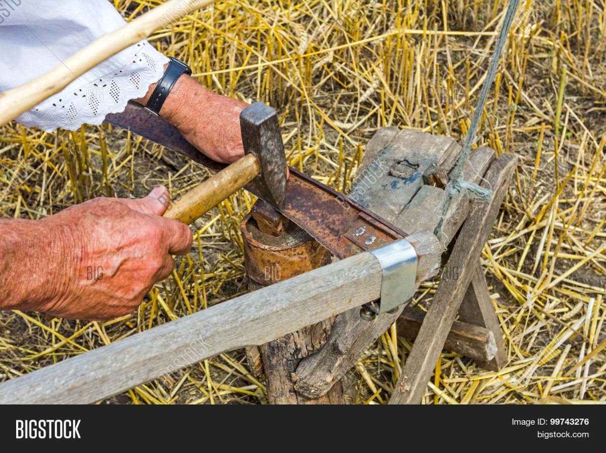 Покос травы в поле
